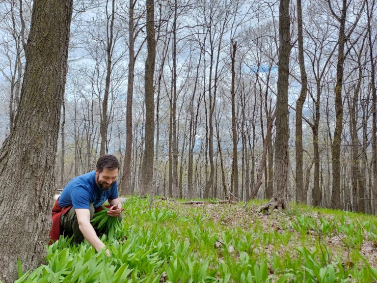 The Ramp Patch/Promise of a Forager