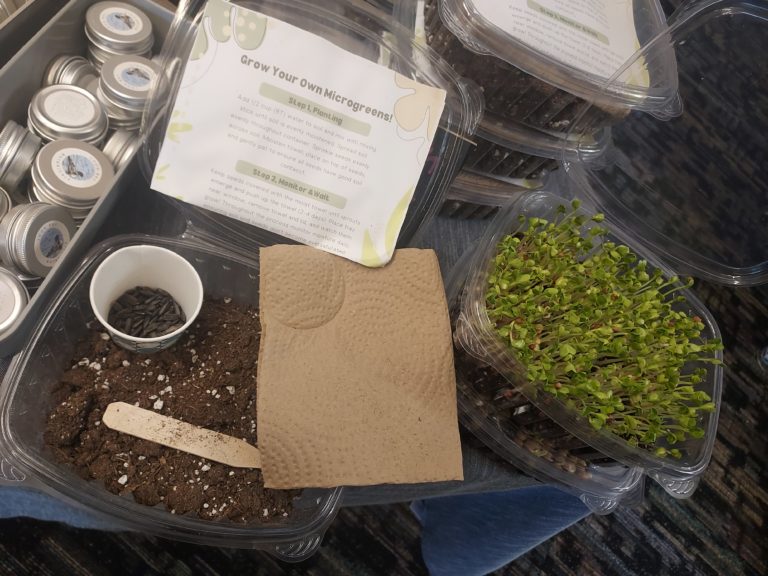 Learn to Grow Your Own Microgreens